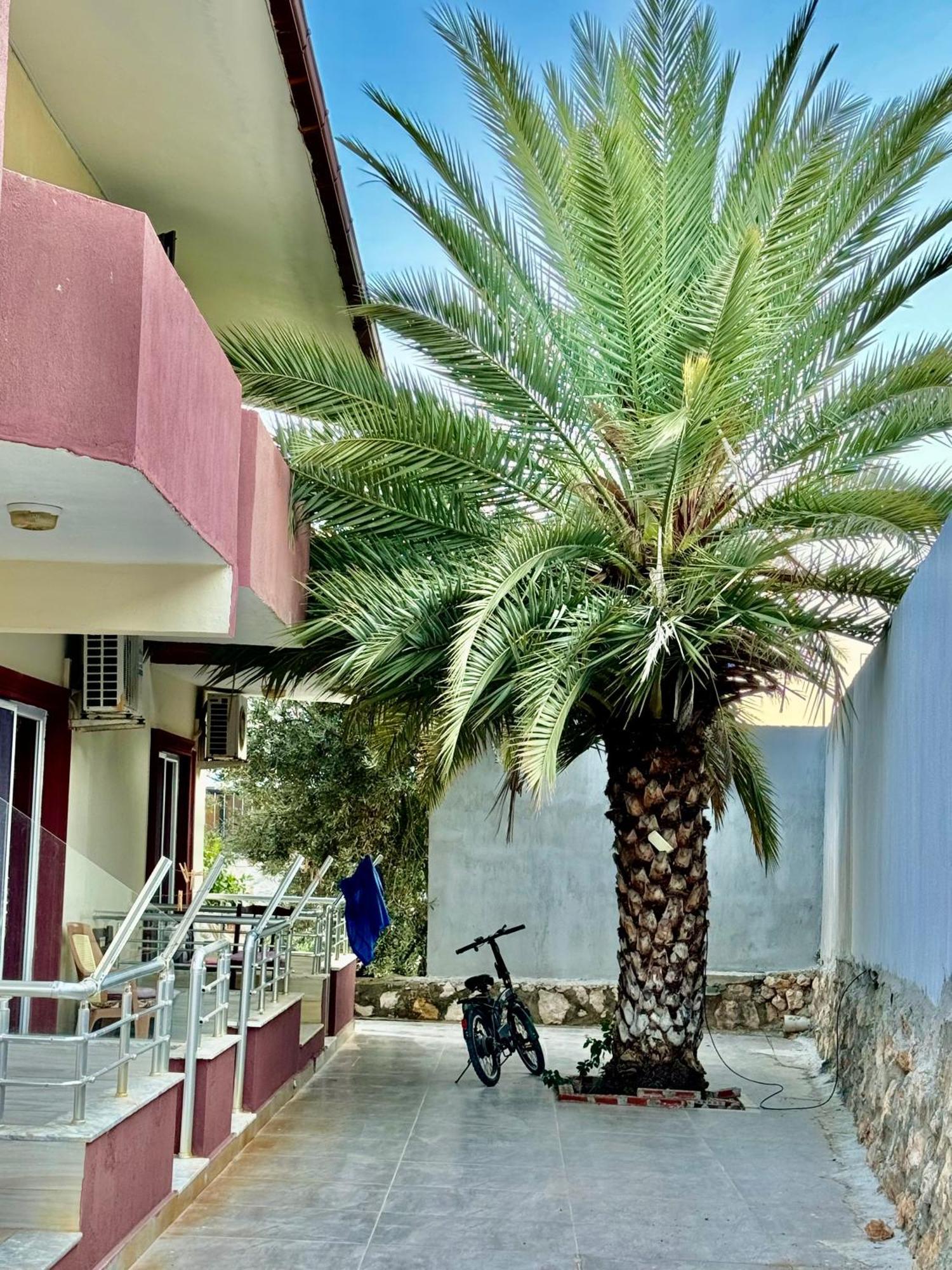 Rose Hotel B&B Patara Exterior foto