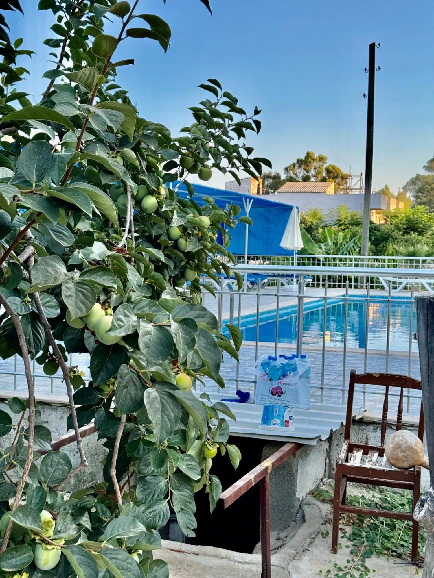 Rose Hotel B&B Patara Exterior foto